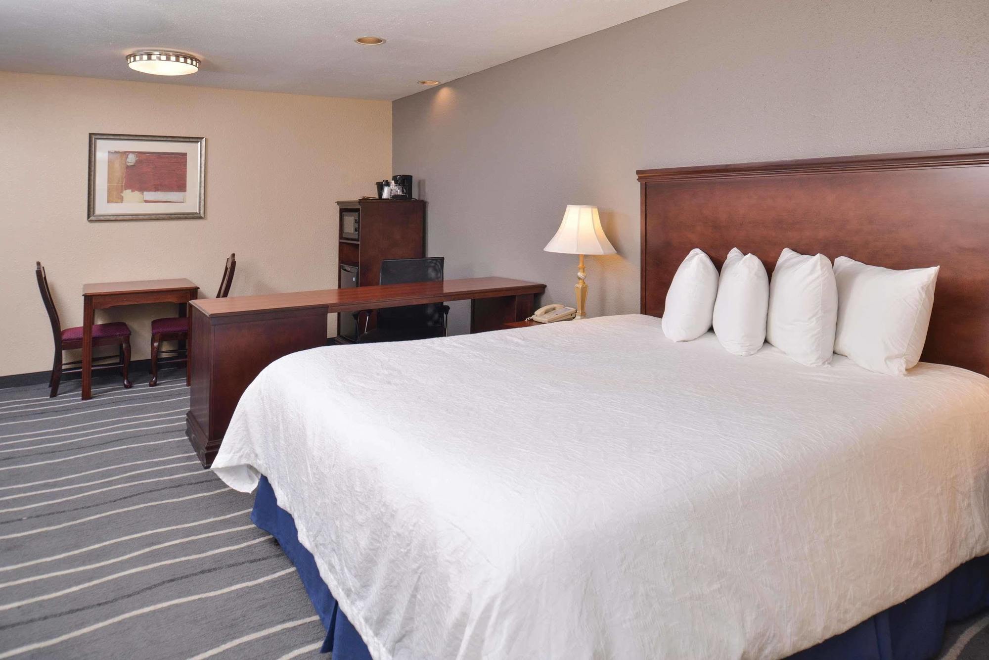 Irving Inn & Suites At Dfw Airport Buitenkant foto